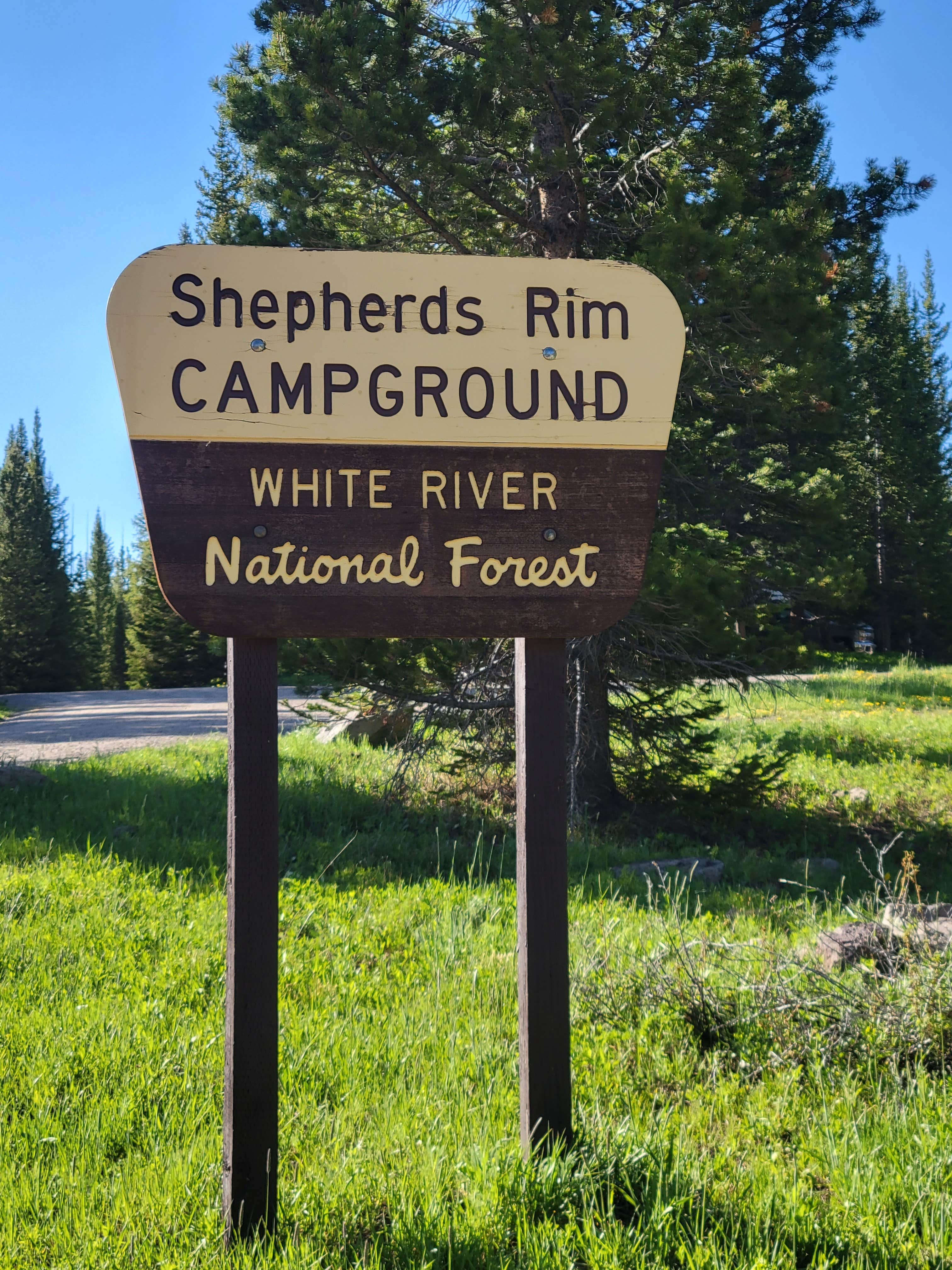Camper submitted image from Shepherds Rim Campground - 4