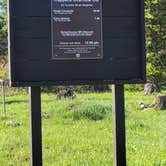 Review photo of Shepherds Rim Campground by Todd J., June 19, 2022