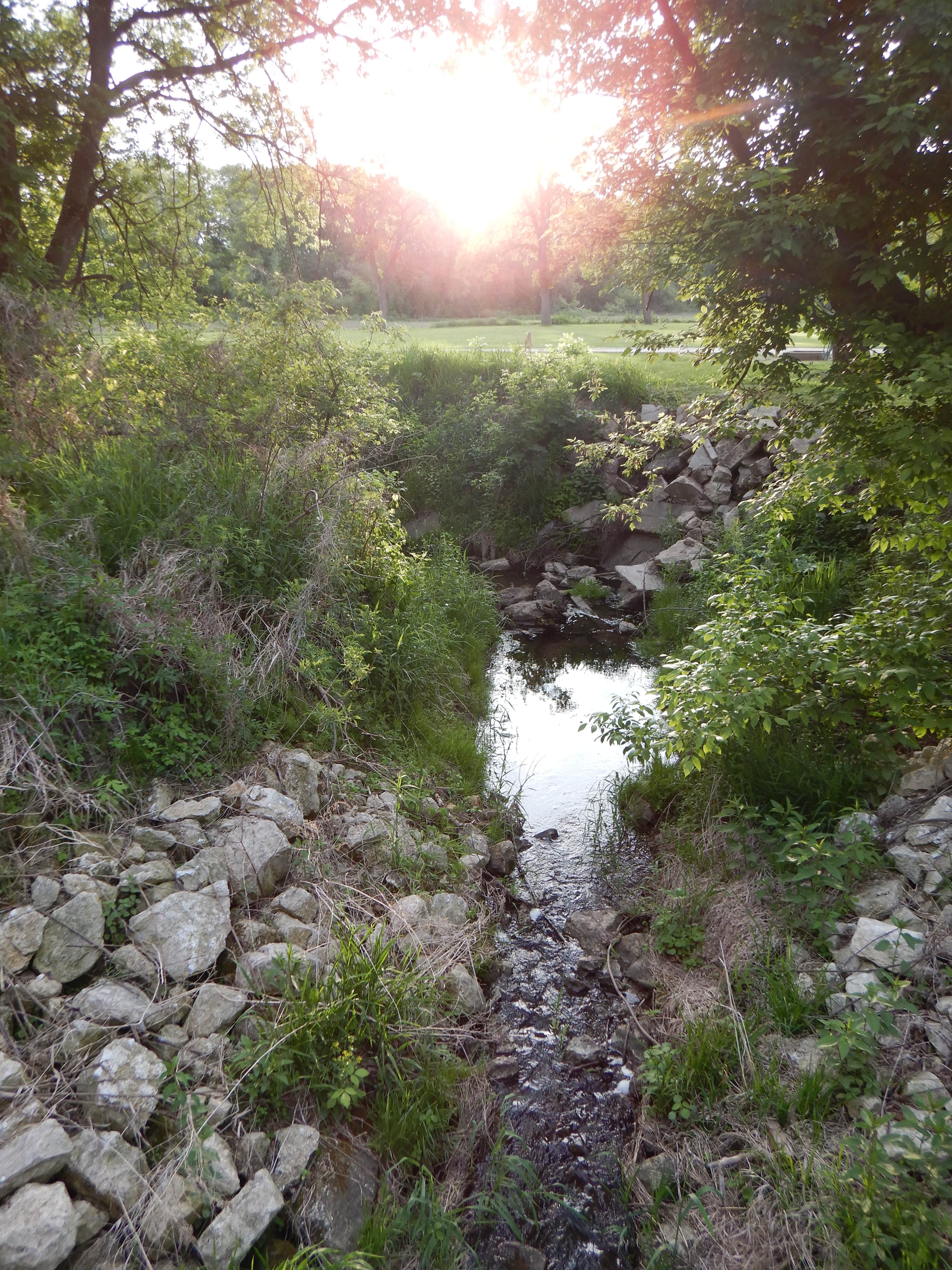 Camper-submitted photo at Fillmore Recreation Area near Cascade, IA