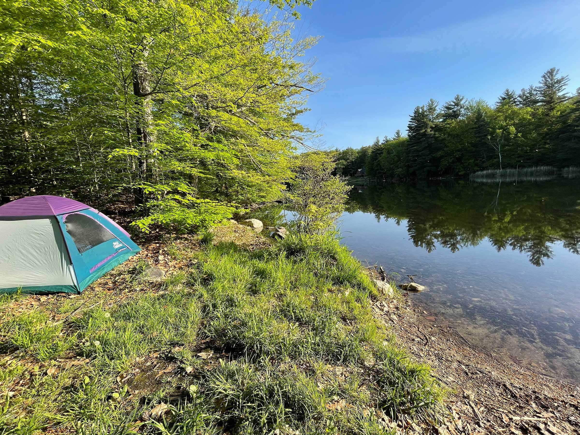 Camper submitted image from Historic Valley Campground - 1