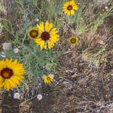 Review photo of Alta Lake State Park Campground by Ariel H., June 18, 2022