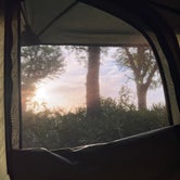 Review photo of Kissimmee Prairie Preserve State Park Campground by Ioana Z., June 19, 2022