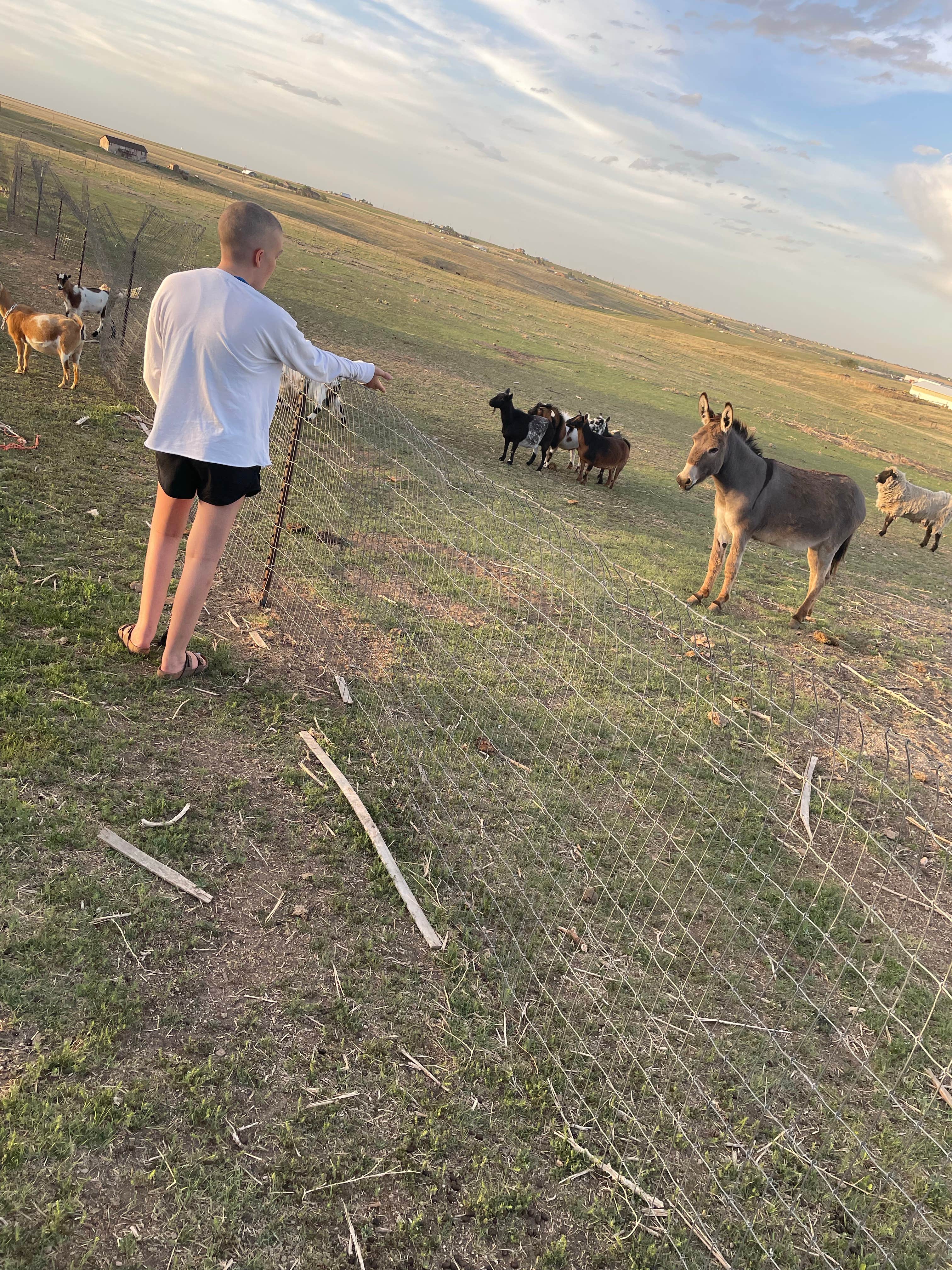 Ryan L.'s photo of camping with pets at Liberty Ranch - CLOSED near Parker, CO