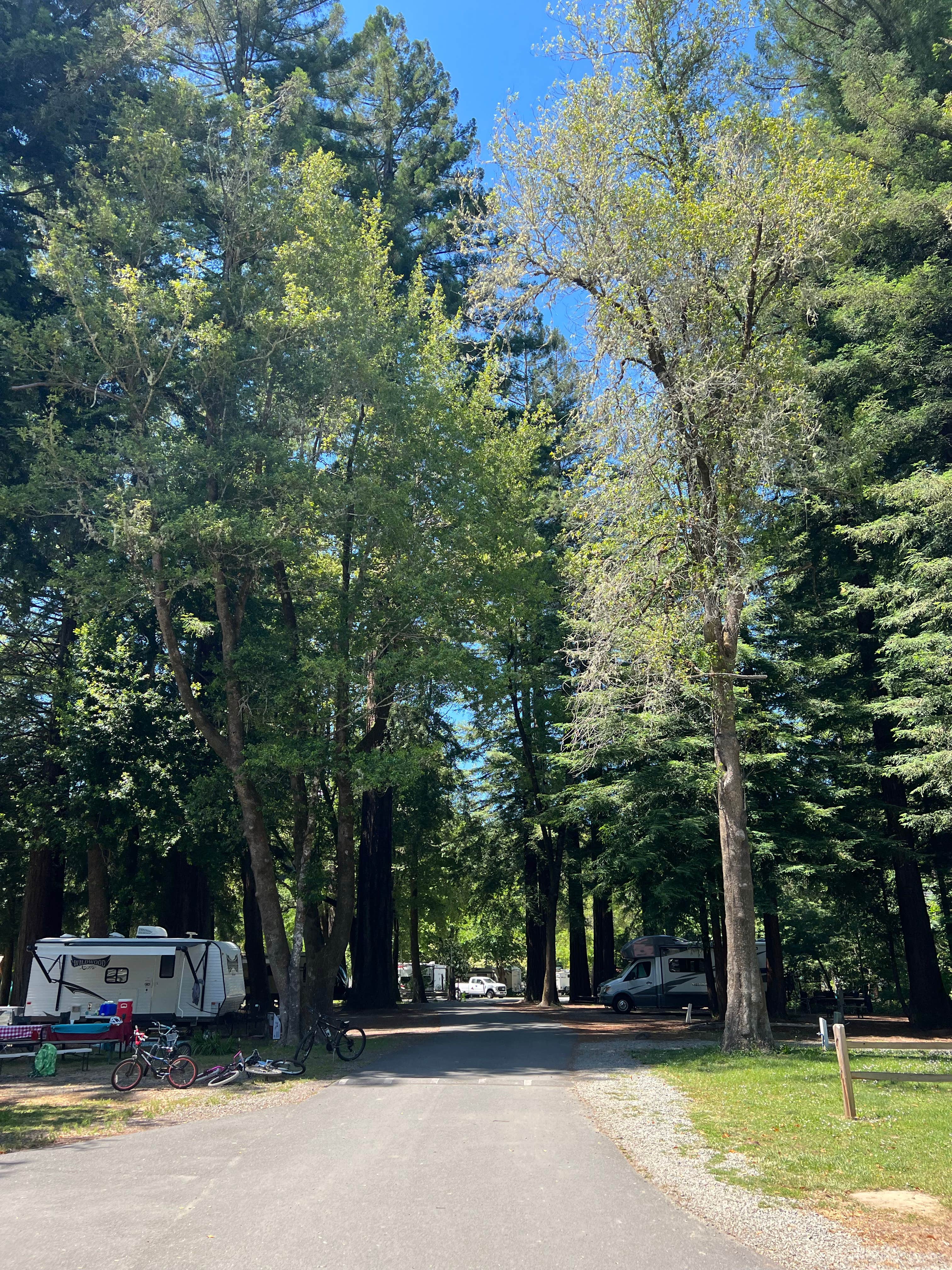 James  N.'s photo of rv camping at Giant Redwoods RV & Cabin Destination near Myers Flat, CA