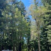 Review photo of Giant Redwoods RV & Cabin Destination by James  N., June 19, 2022