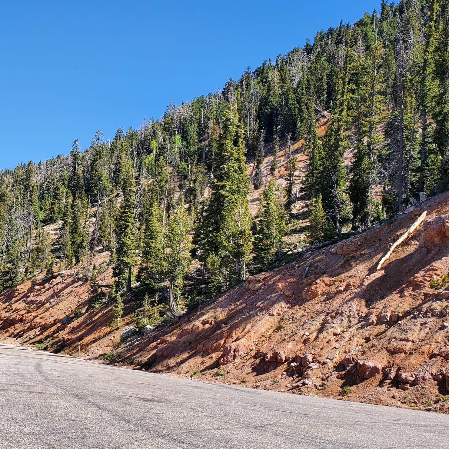 Cedar Canyon Retreat RV Park and Campground | Cedar City, Utah