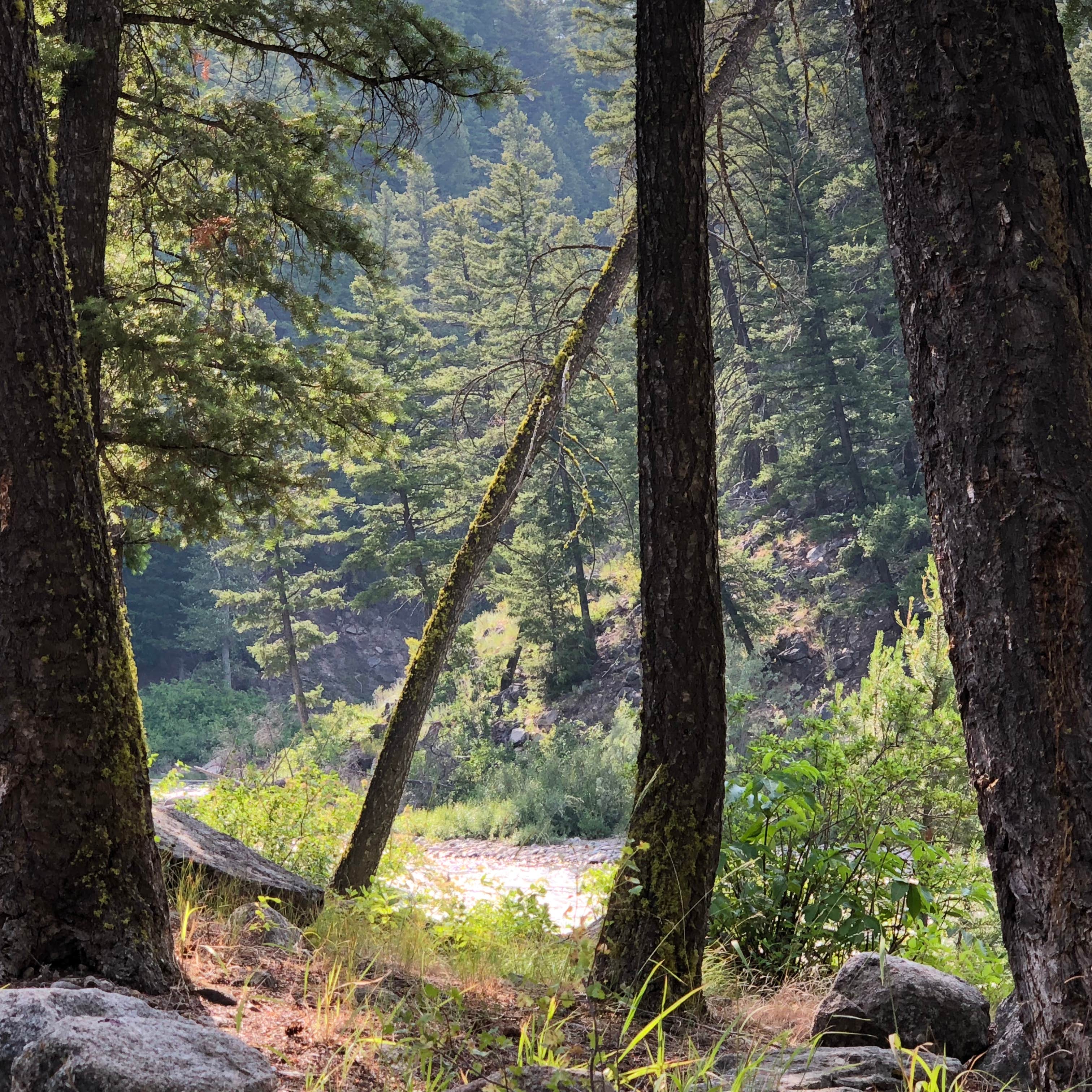 Escape To Idaho’s Pristine Wilderness: Lower O’Brien Campground, Your Gateway To Adventure