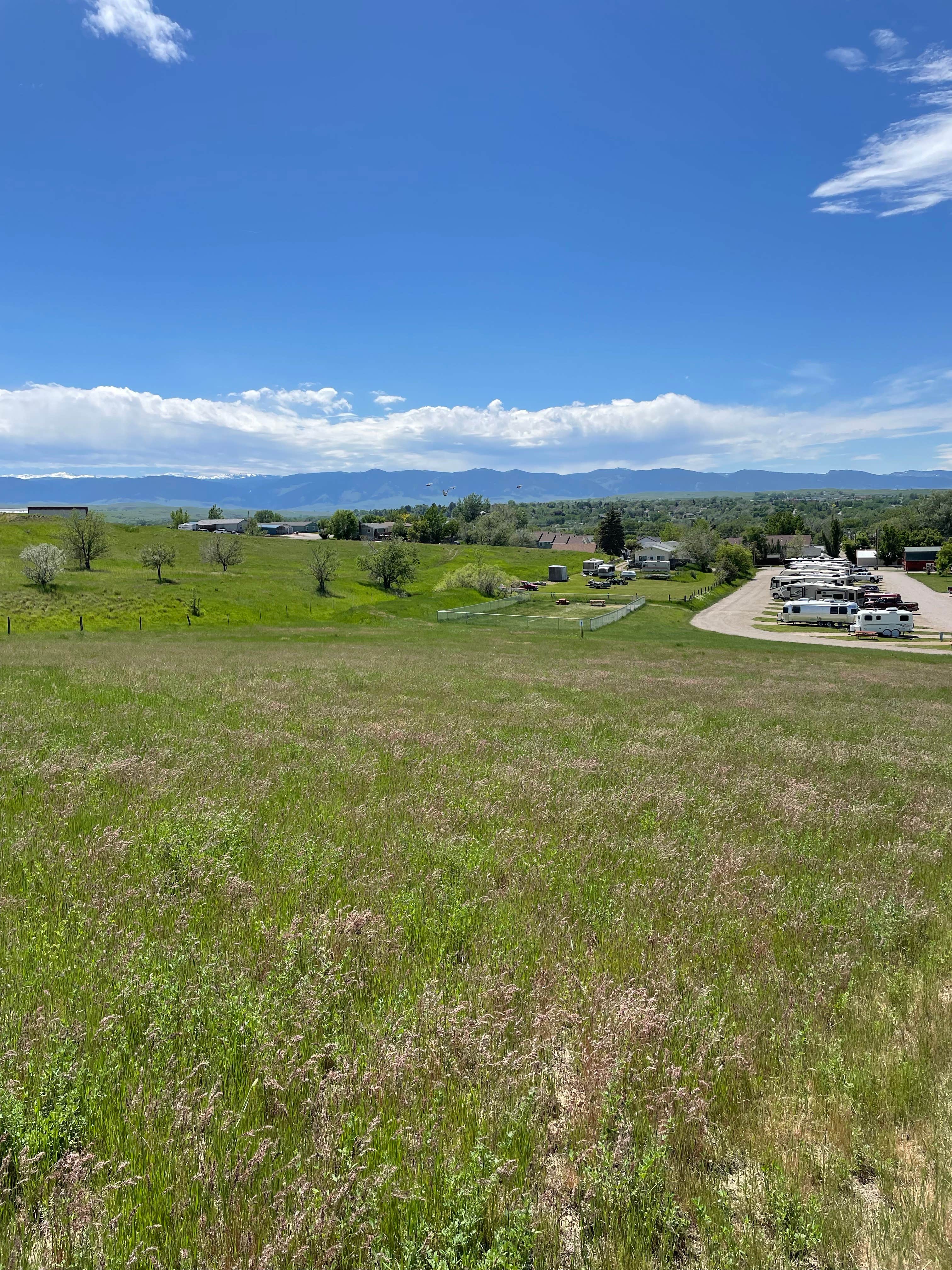 Camper-submitted photo at Peter Ds RV Park near Buffalo, WY