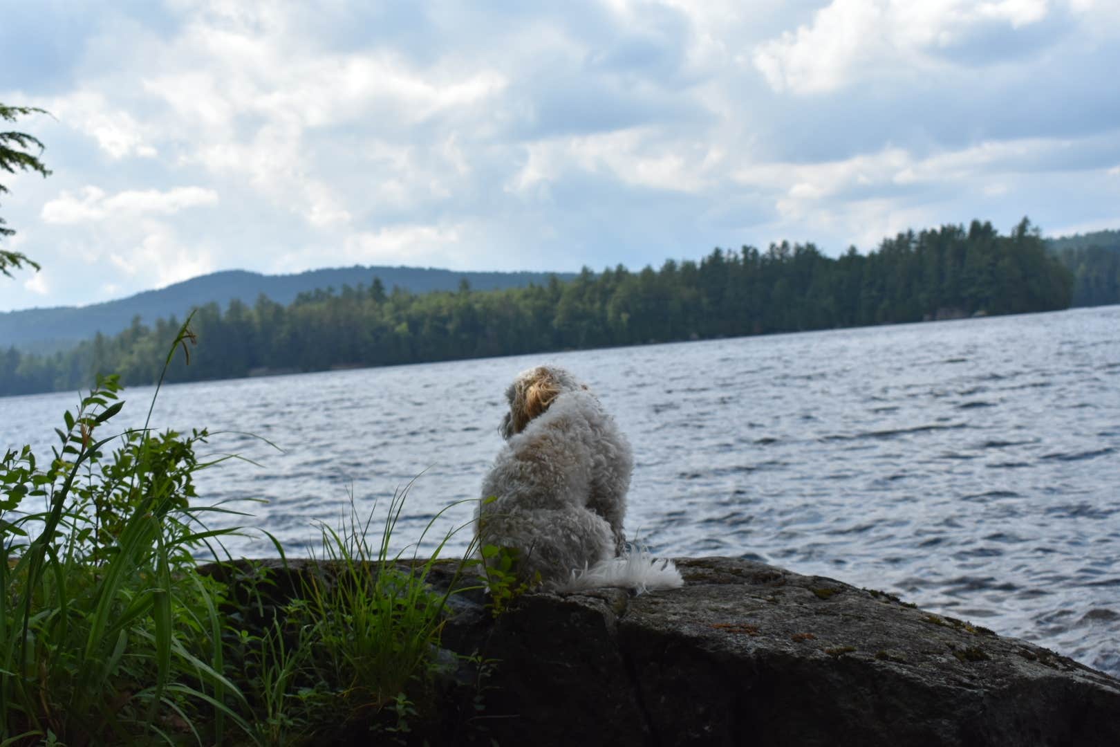Camper-submitted photo at Saranac Lake Islands Adirondack Preserve Campground near Rainbow Lake, NY