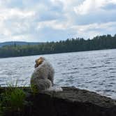 Review photo of Saranac Lake Islands Adirondack Preserve by Kelly H., July 6, 2018