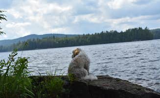 Kelly H.'s photo of camping with pets at Saranac Lake Islands Adirondack Preserve Campground near Lake Placid, NY