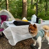 Review photo of Owens Creek Campground — Catoctin Mountain Park by Nick C., June 19, 2022