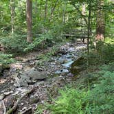 Review photo of Owens Creek Campground — Catoctin Mountain Park by Nick C., June 19, 2022