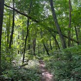 Review photo of Owens Creek Campground — Catoctin Mountain Park by Nick C., June 19, 2022