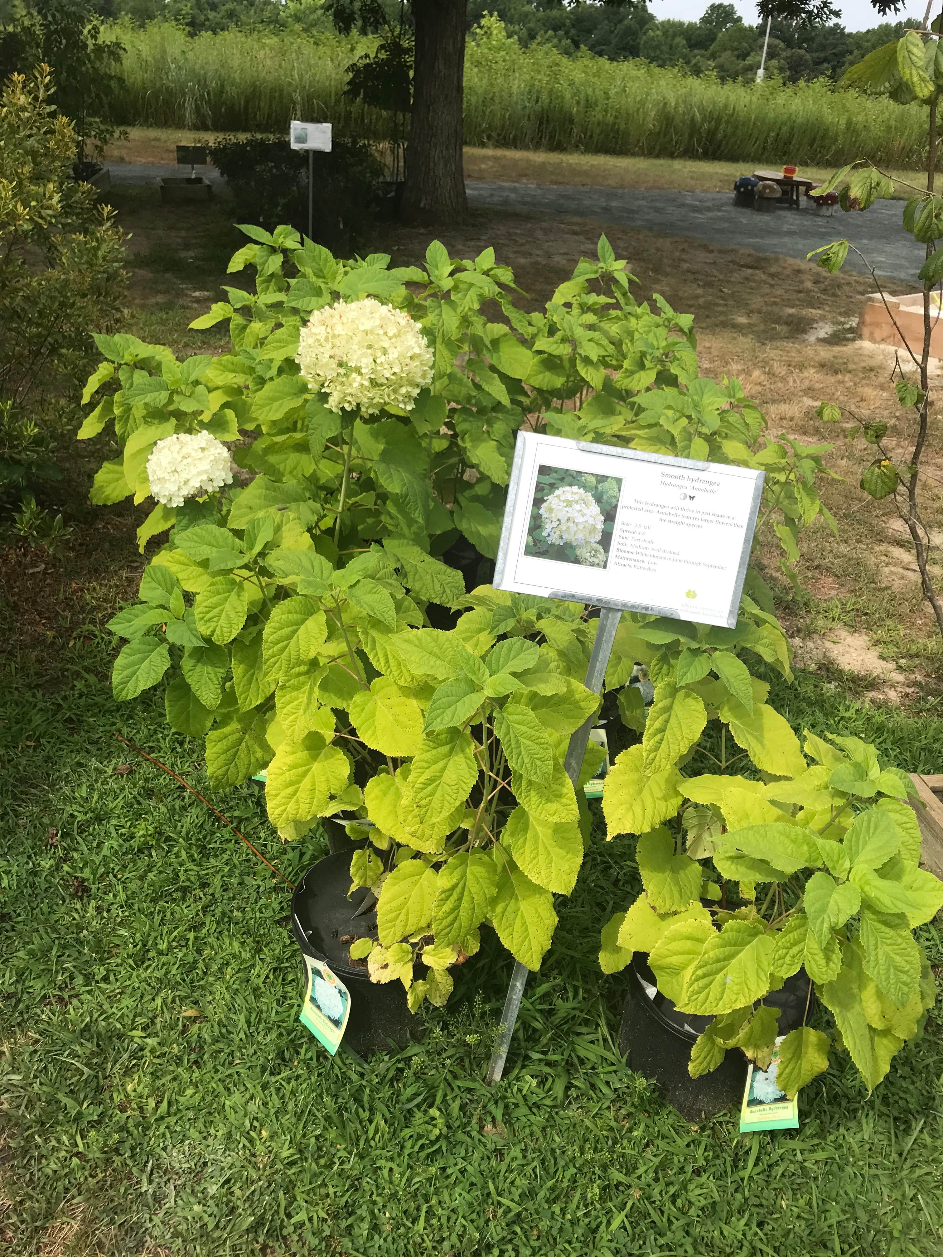 Camper-submitted photo at Tuckahoe State Park Campground near Crofton, MD