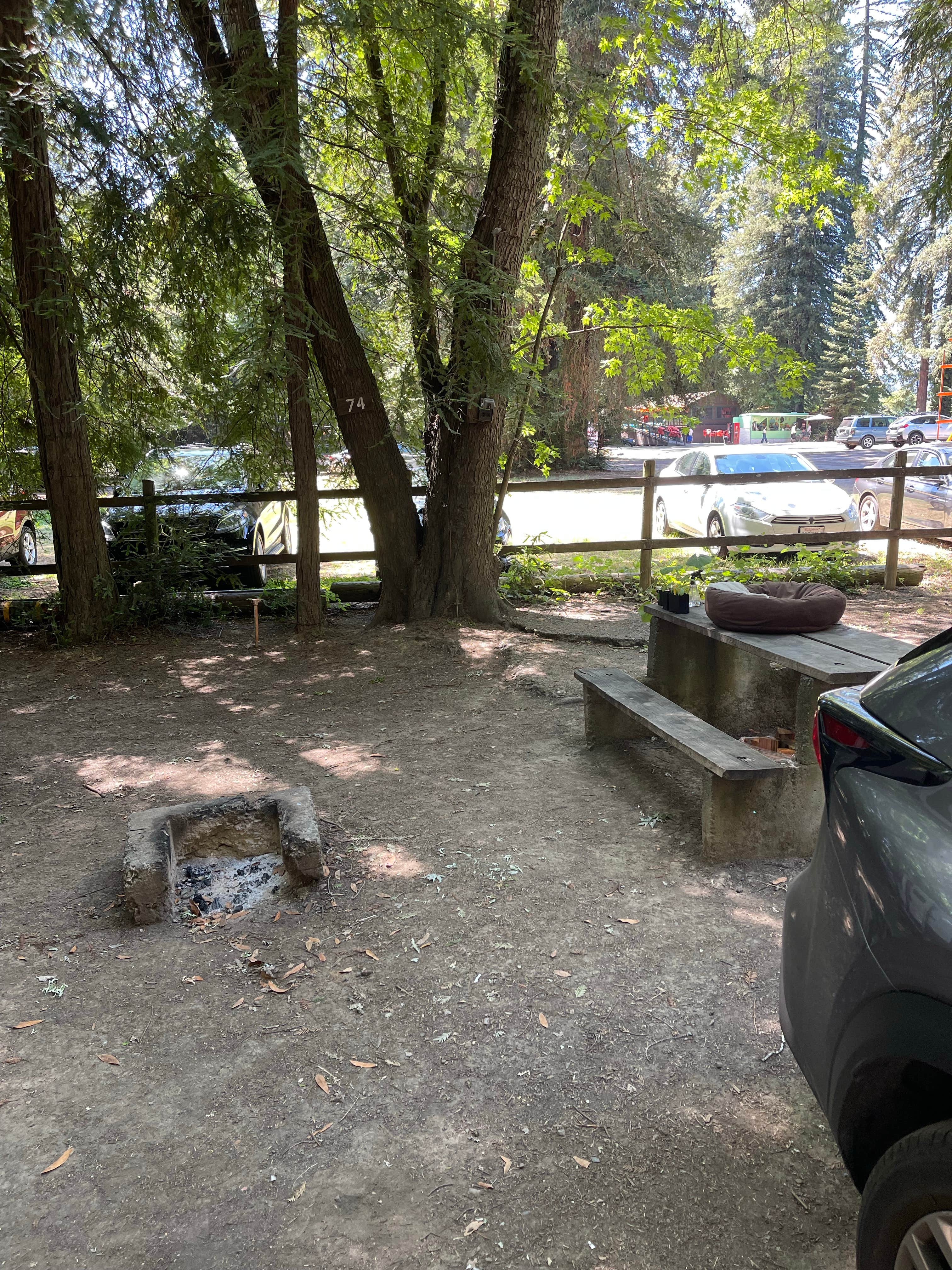 Camper-submitted photo at Mirabel RV Park & Campground near Rutherford, CA
