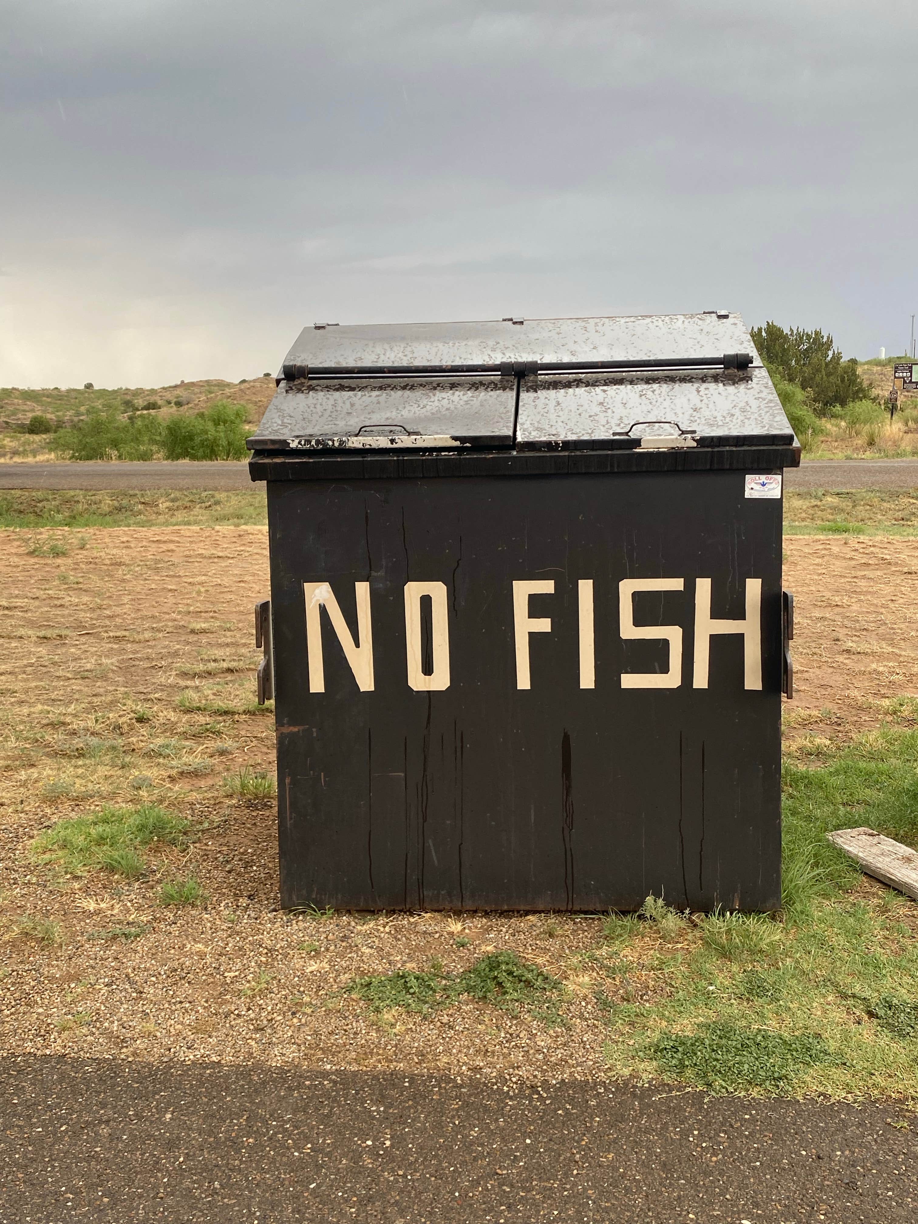 Camper-submitted photo at Logan Park — Ute Lake State Park near Tucumcari, NM