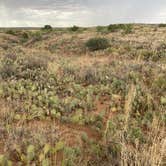 Review photo of Logan Park — Ute Lake State Park by Amy & Stu B., June 19, 2022