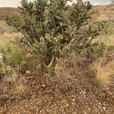 Review photo of Logan Park — Ute Lake State Park by Amy & Stu B., June 19, 2022