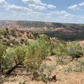 Review photo of Hackberry Campground — Palo Duro Canyon State Park by Amy & Stu B., June 20, 2022