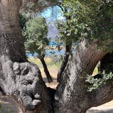 Review photo of Cachuma Lake Recreation Area by Jay T., June 20, 2022