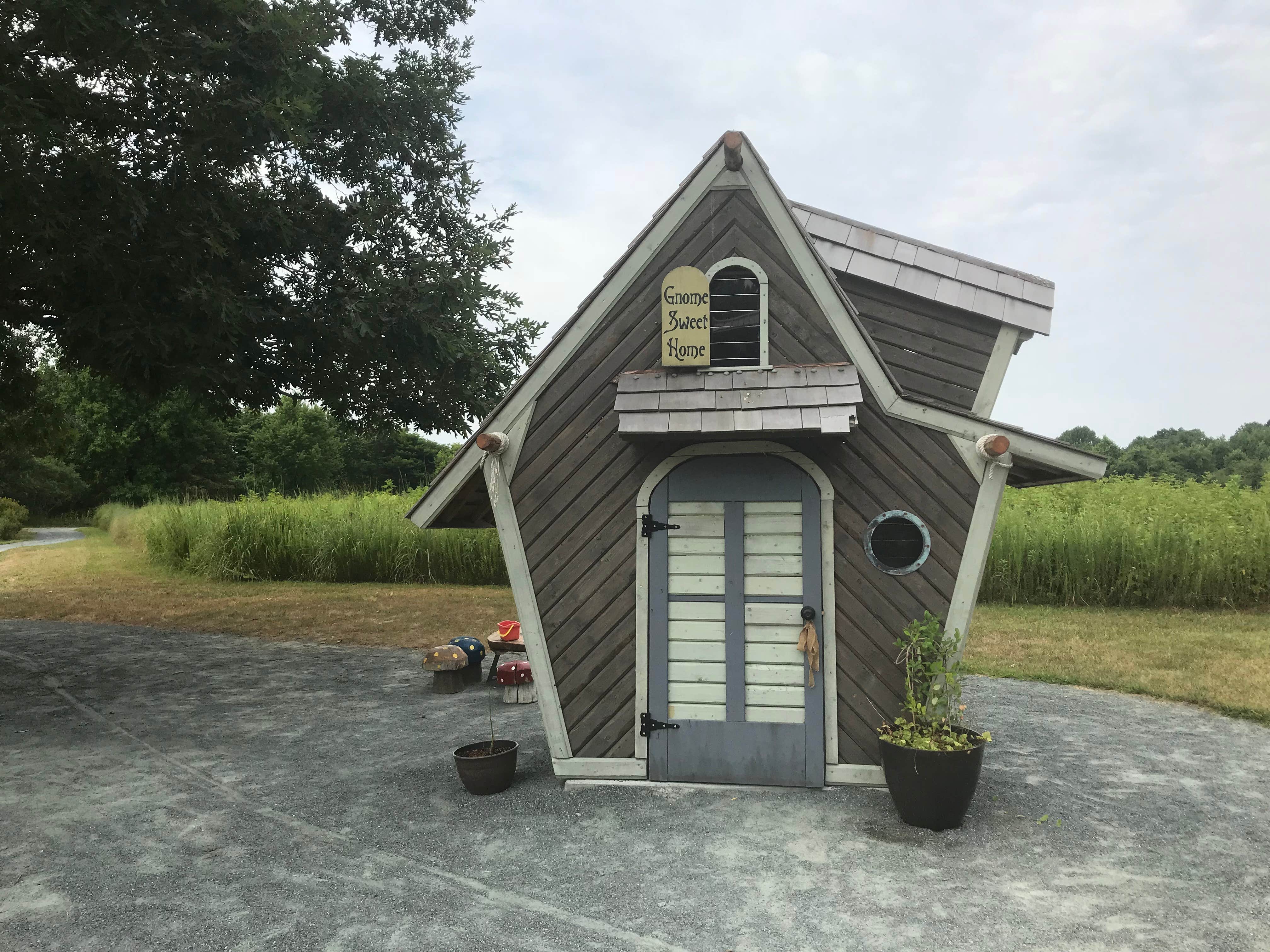 Fransheska A.'s photo of camping with pets at Tuckahoe State Park Campground near Seaford, DE