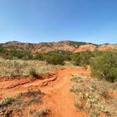 Review photo of Hackberry Campground — Palo Duro Canyon State Park by Amy & Stu B., June 20, 2022