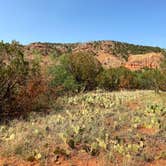 Review photo of Hackberry Campground — Palo Duro Canyon State Park by Amy & Stu B., June 20, 2022