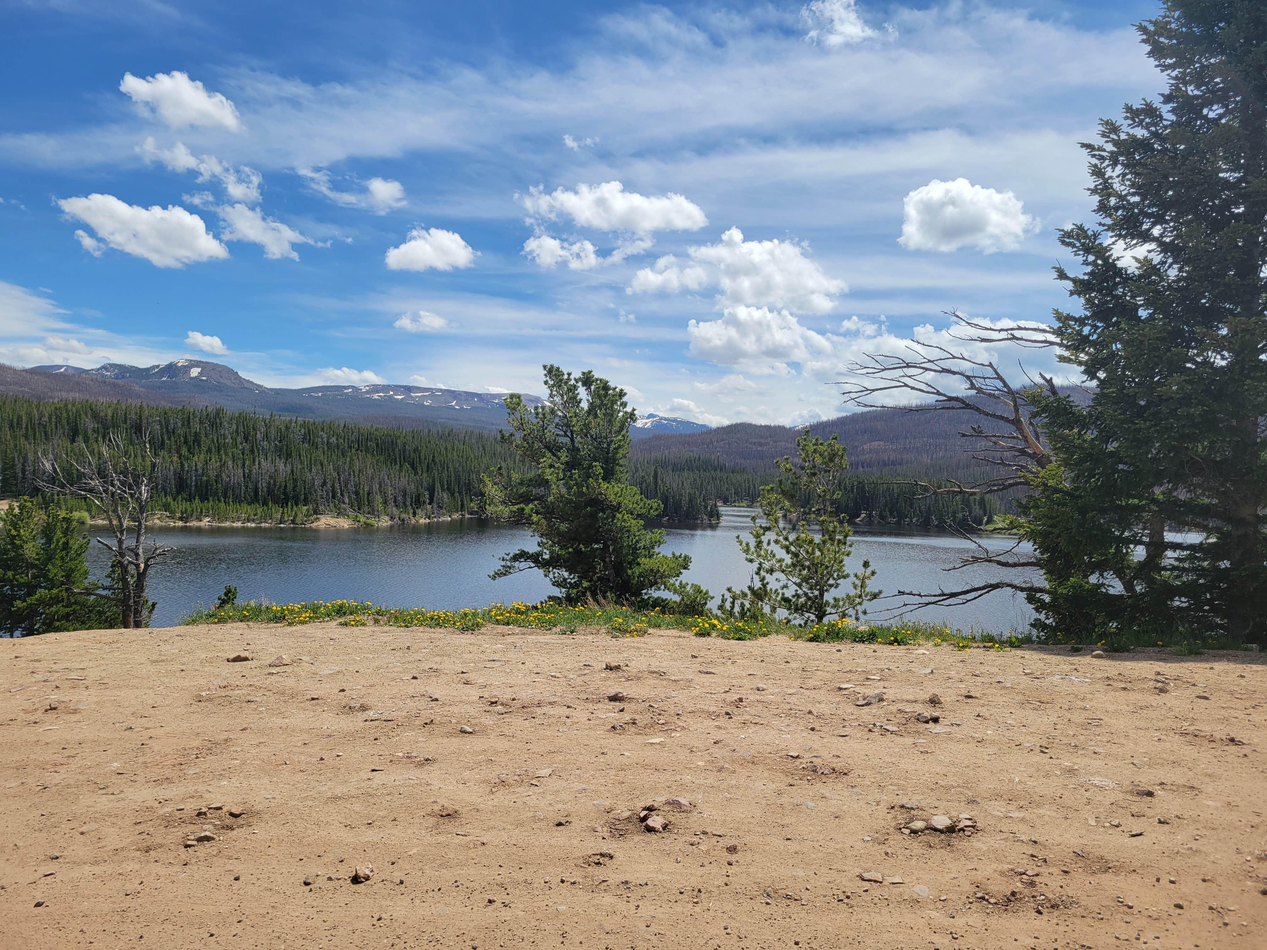 Camper submitted image from Laramie River Road Dispersed - 5