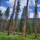 Review photo of Laramie River Road Dispersed by Justina , June 20, 2022