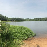 Review photo of Tuckahoe State Park Campground by Fransheska A., July 16, 2018