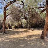 Review photo of Fortuna Pond - CLOSED by Susie , June 20, 2022