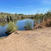 Review photo of Fortuna Pond - CLOSED by Susie , June 20, 2022