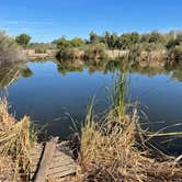 Review photo of Fortuna Pond - CLOSED by Susie , June 20, 2022