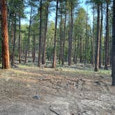 Review photo of Dairy Springs Campground by Kelsey R., June 20, 2022