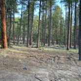 Review photo of Dairy Springs Campground by Kelsey R., June 20, 2022