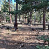 Review photo of Dairy Springs Campground by Kelsey R., June 20, 2022