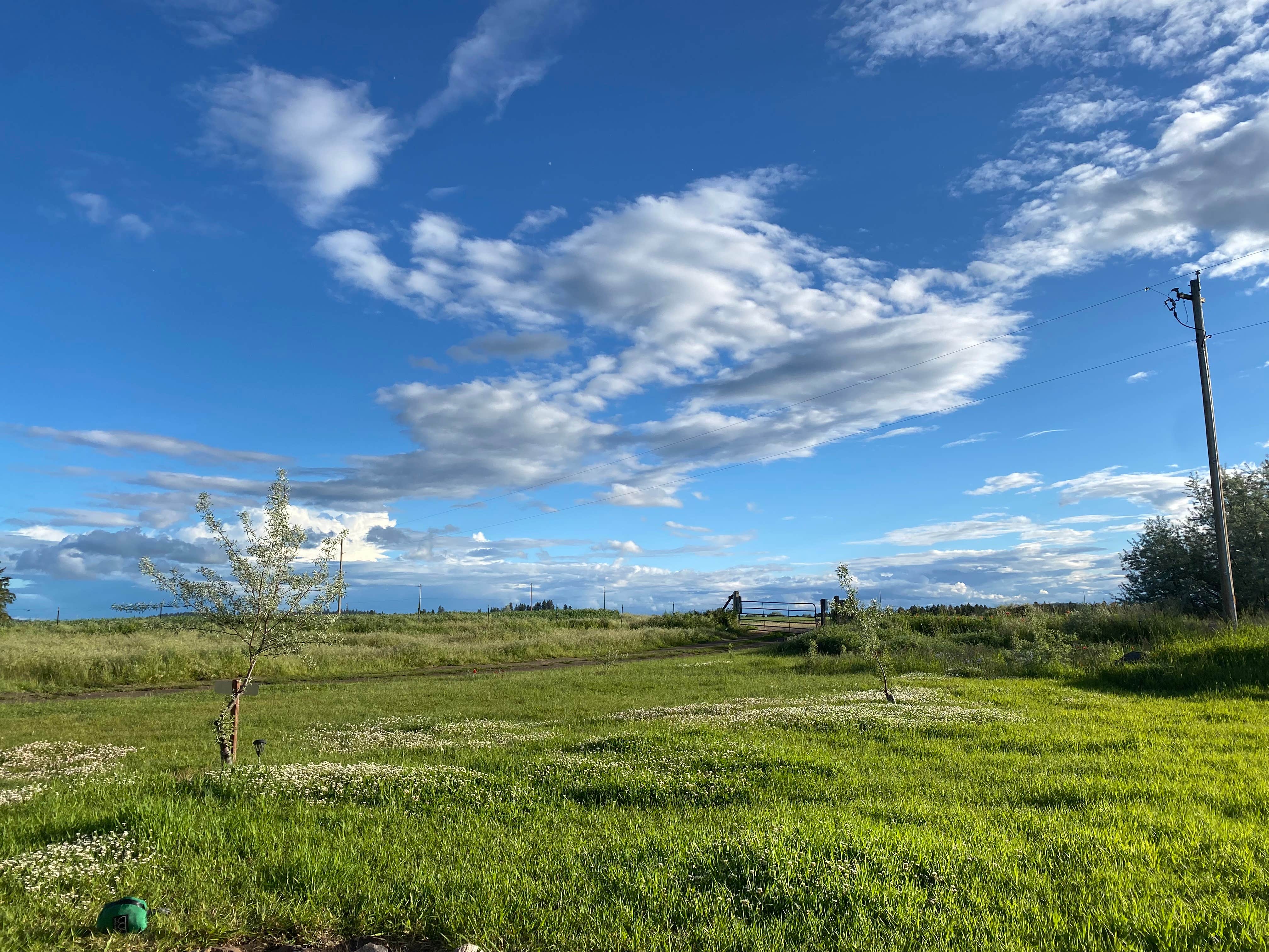 Camper-submitted photo at Willow Creek Retreat near Nine Mile Falls, WA