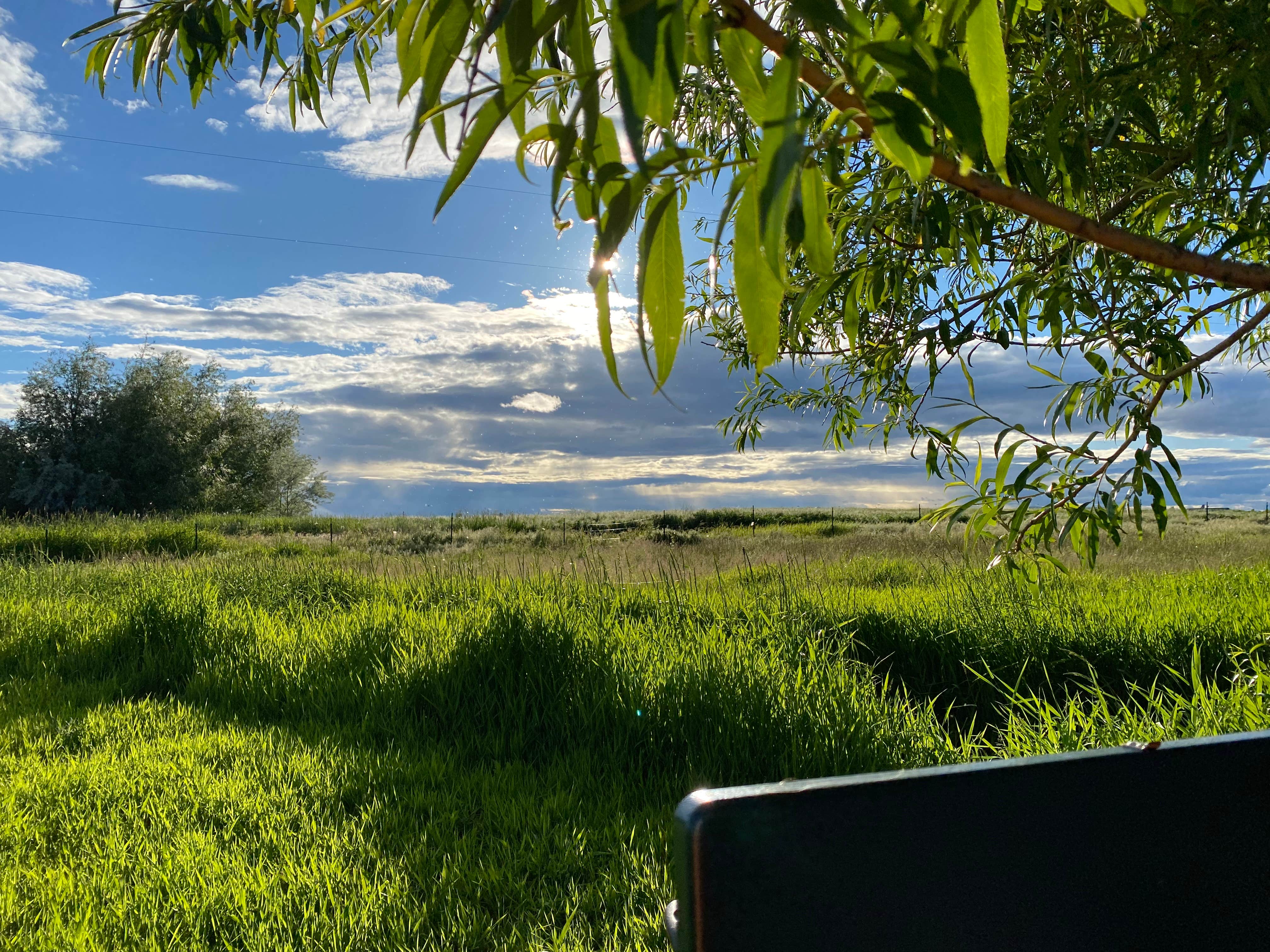 Camper-submitted photo at Willow Creek Retreat near Nine Mile Falls, WA
