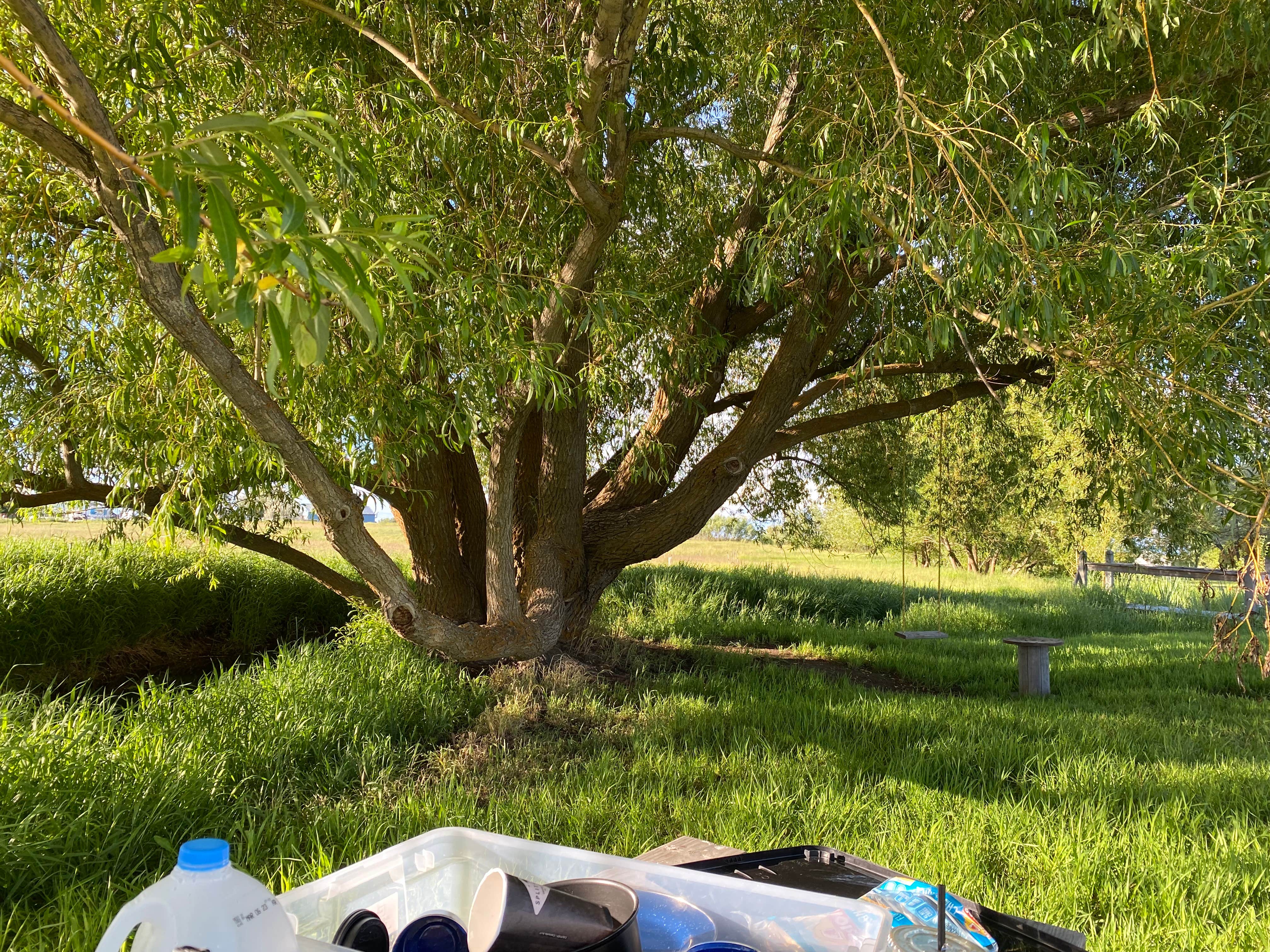Camper-submitted photo at Willow Creek Retreat near Nine Mile Falls, WA