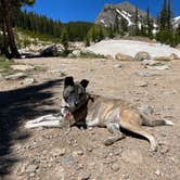 Review photo of Chinns Lake Dispersed Camping by Cameron B., June 20, 2022