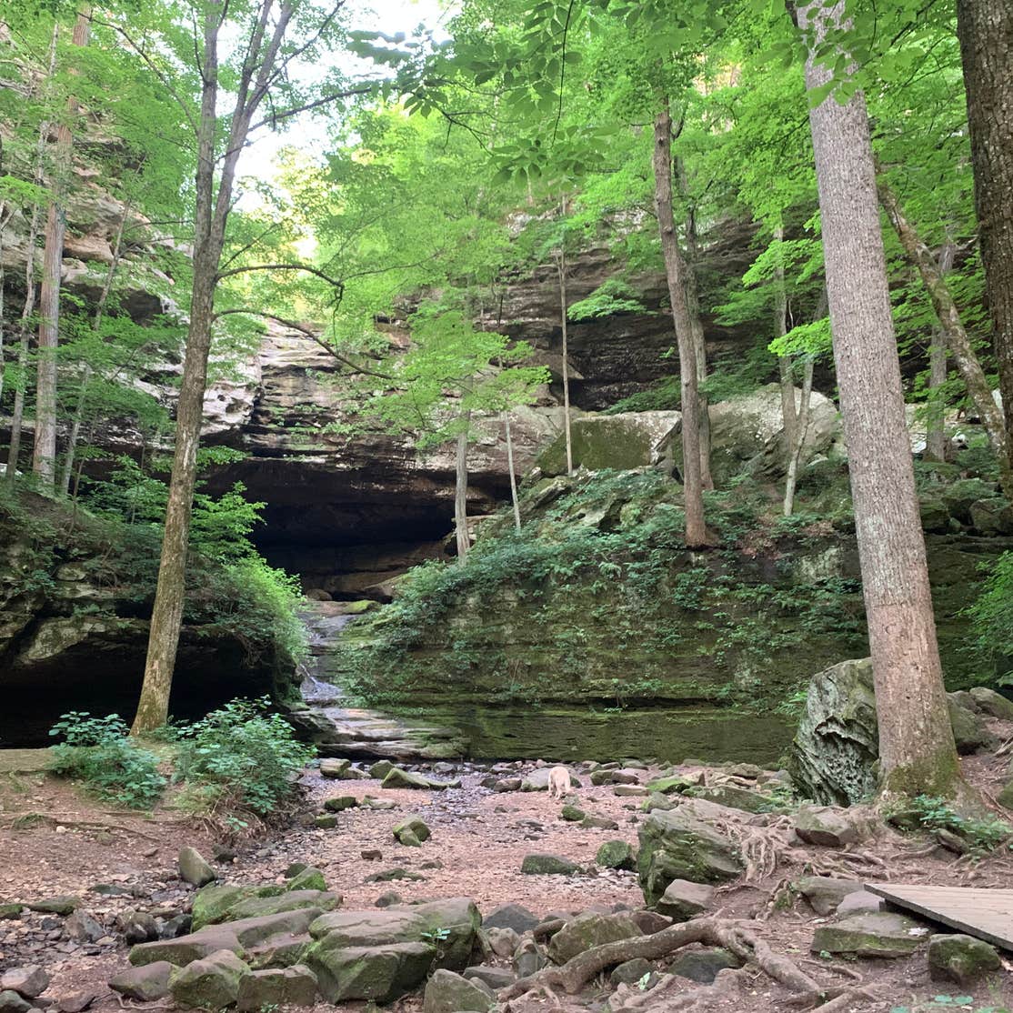 Turkey Ridge Campground — Ferne Clyffe State Park | Goreville, IL