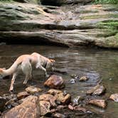 Review photo of Turkey Ridge Campground — Ferne Clyffe State Park by DENISE G., June 20, 2022