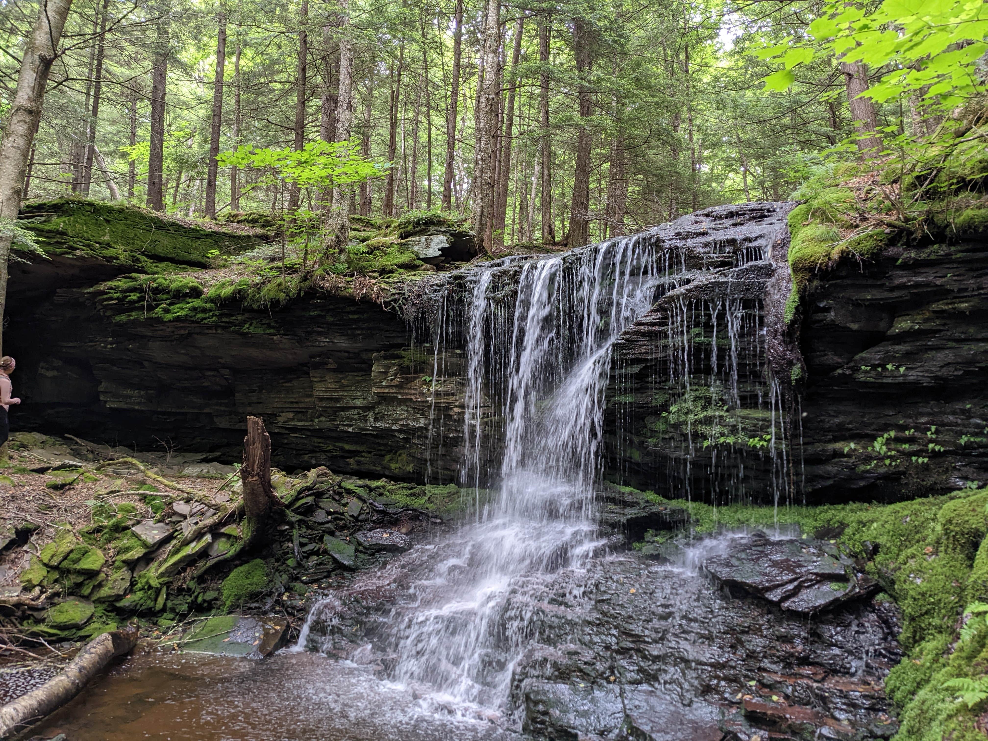Camping near Boheme Retreats: Covered Bridge Campsite, Parksville, New York
