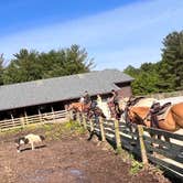 Review photo of Mccormick's Creek State Park Campground by Dee  A., June 20, 2022