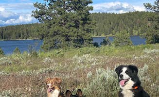 Steve K.'s photo of camping with pets at Pilcher Creek Reservoir in Oregon