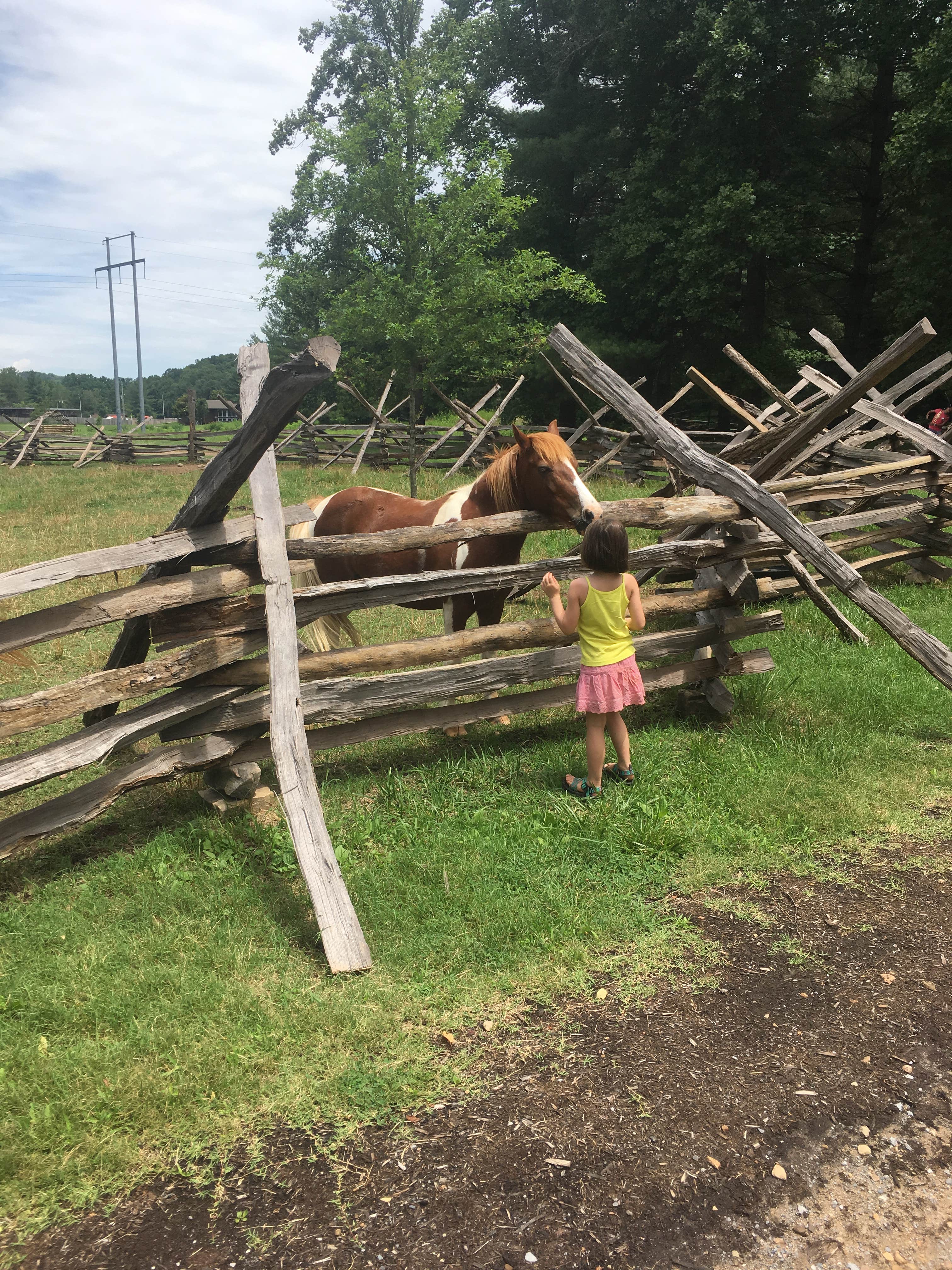 Camper-submitted photo at Davy Crockett Birthplace State Park Campground near Greeneville, TN