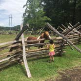 Review photo of Davy Crockett Birthplace State Park Campground by Anna R., July 16, 2018