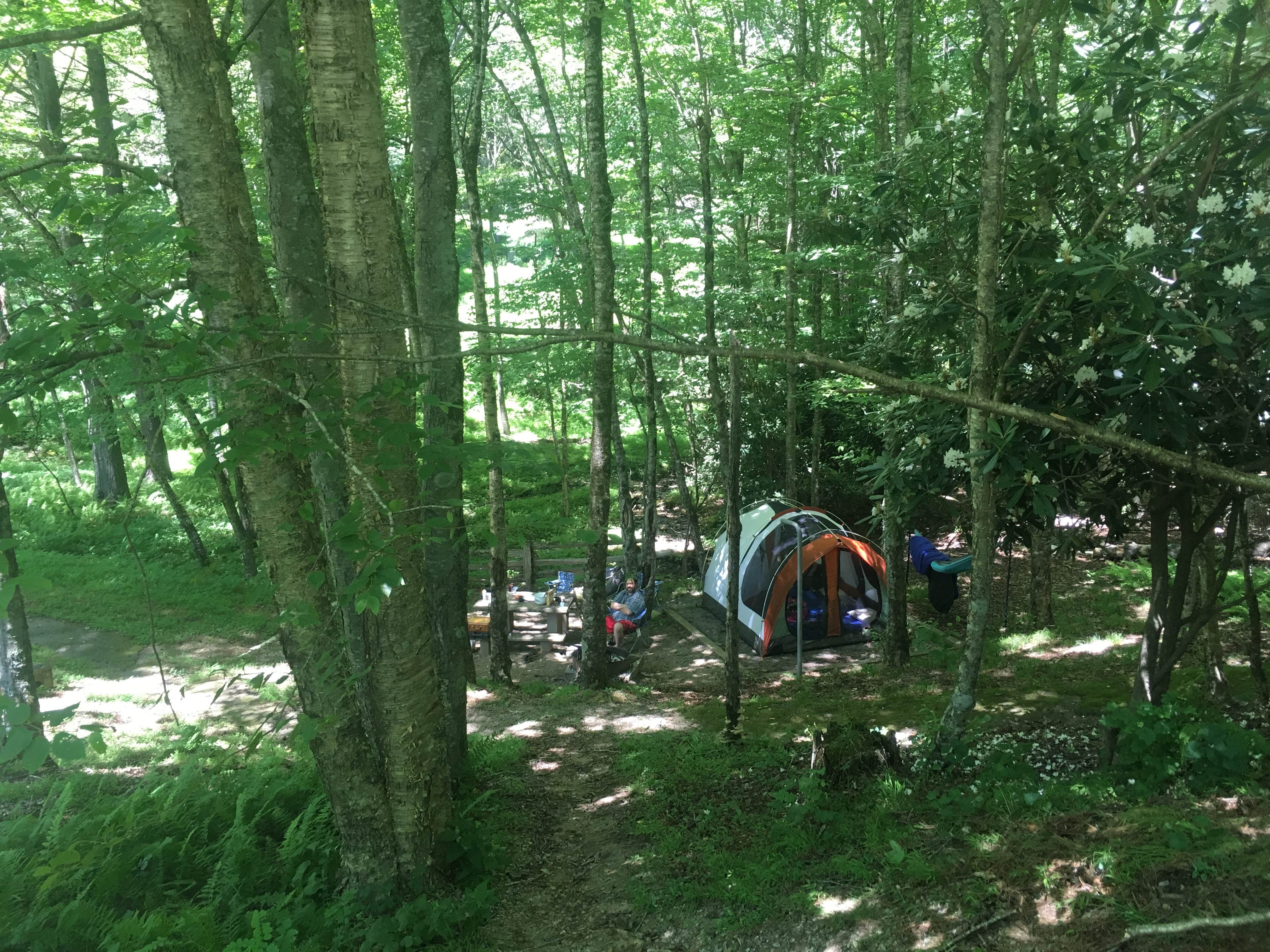 Anna R.'s photo at Doughton Park Campground — Blue Ridge Parkway near Elkin, NC