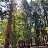 Review photo of North Pines Campground — Yosemite National Park by iliana S., June 20, 2022